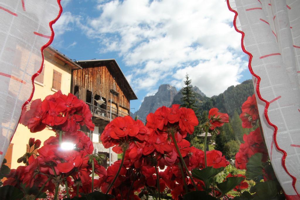 Dolomites Holidays Selva di Cadore Quarto foto